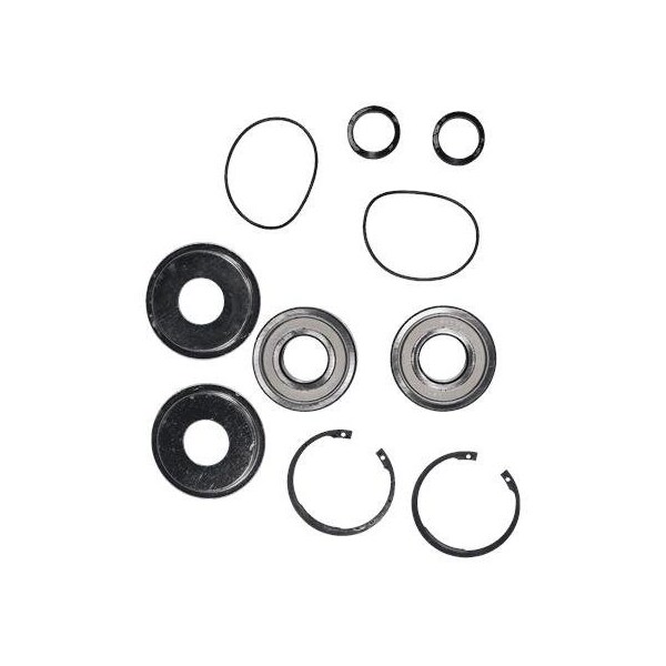 Pump Repair Kits- Kit, Bearings 6308 D40/D90x23 EPDM, Spare Part.